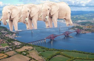 elephantbridge