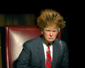 Trump hair