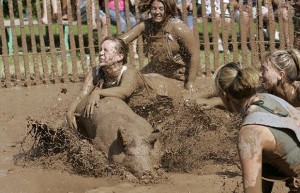 Pig wrestling